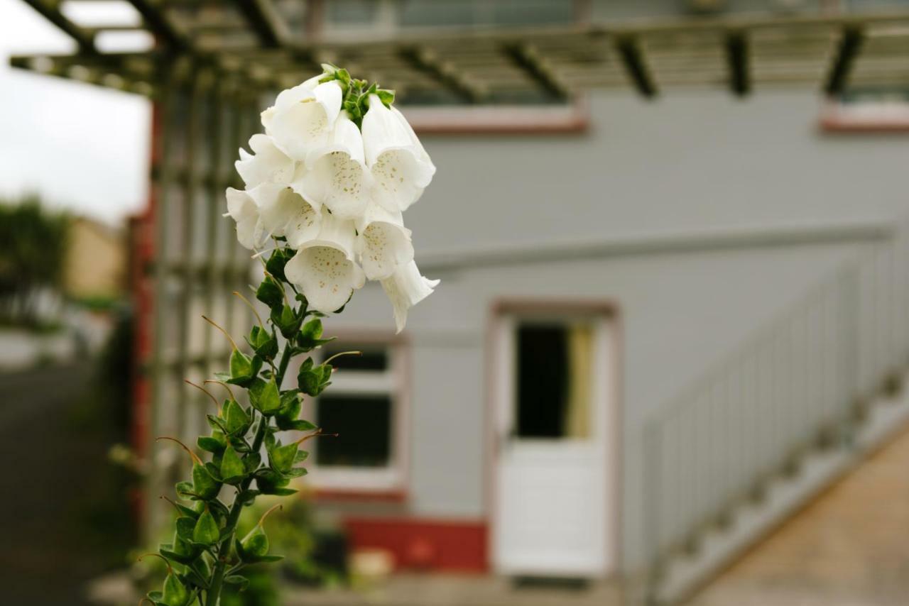 Eagle Heights Bed & Breakfast Енискроун Екстериор снимка